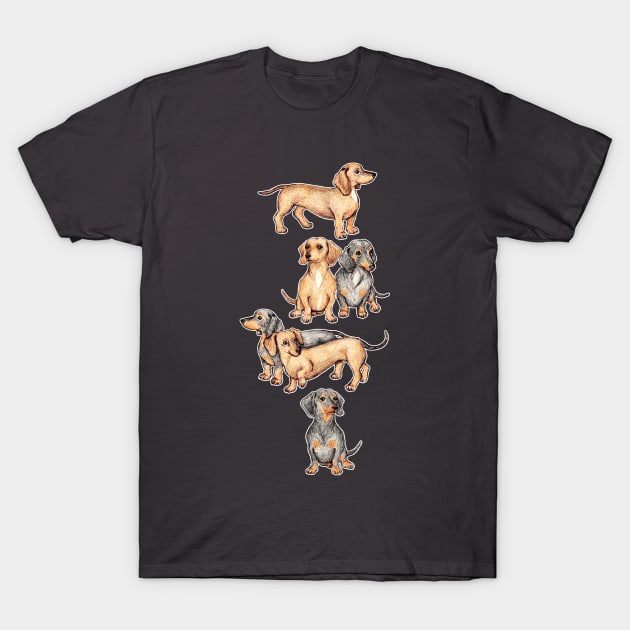 Dachshunds and Dogwood Blossoms T-Shirt by micklyn